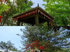 -光雾山旅游景区