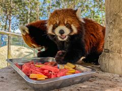 -水上乐园·欢乐世界