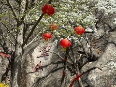 -天津盘山风景名胜区