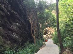 -玻璃桥景区石牛寨