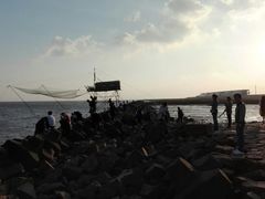 -南汇嘴观海公园