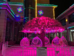 -兴芮温泉度假区