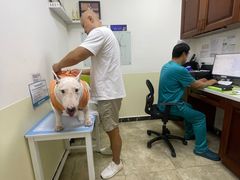 -美联众合动物医院·24h转诊中心