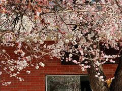 -吉林大学(南岭校区)