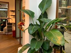 -Line 咖啡(石厦花园店)