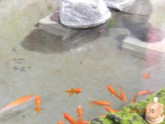 -星空布洛早教·托育(滨江店)