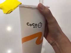 -CoCo都可(卓展店)