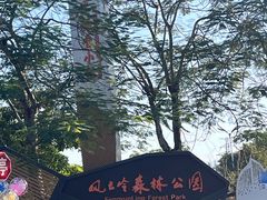 -风云岭森林公园