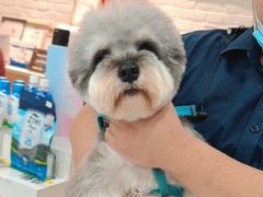 -帕帕拉兹宠物(亚洲旗舰店)