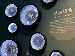-中国湿地博物馆