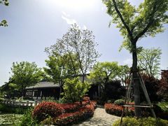 -江心屿景区