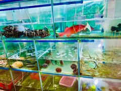 水产区-三亚老渔民海鲜店