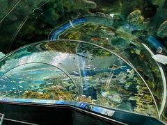 -上海海洋水族馆