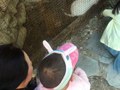 -静之湖湖畔餐厅