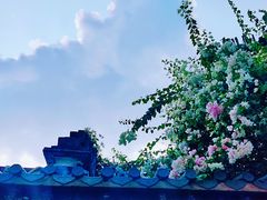 -深圳国际园林花卉博览园