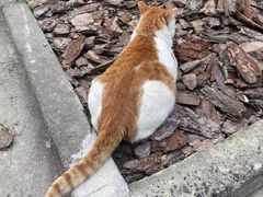 -华东政法大学(松江校区)