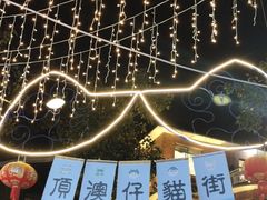 -猫咪博物馆(顶澳仔猫街店)