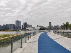 -金沙湖公园