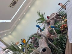 -无锡动物园·太湖欢乐园