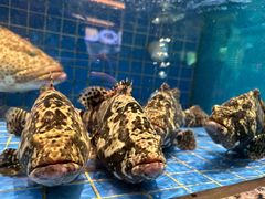 -聚福宝合苑食府(南头镇店)