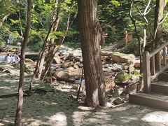 -本溪汤沟绿石谷森林公园