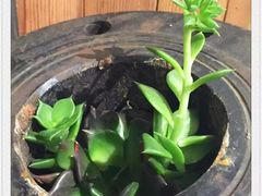 -403国际艺术中心