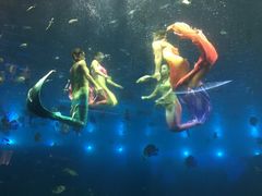 -瑞德姆美人鱼海底演艺主题餐厅(亚龙湾店)