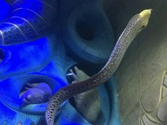 -亚龙湾海底世界