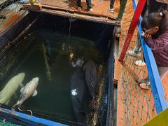 -蓝湾碧波·老字号·疍家非遗海上餐厅