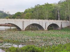 -番禺大夫山森林公园