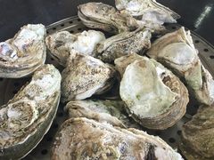 -蚝专家(北滘店)