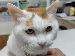 -美联众合24小时·皮肤科·外科·全科诊疗中心(华苑分院)