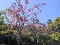 -晓港公园
