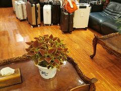 -汉宫汤泉汗蒸洗浴(五四广场店)