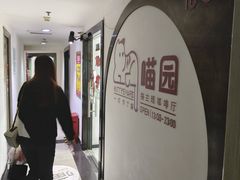 -喵园·猫主题咖啡厅·撸猫·猫咖(国贸店)