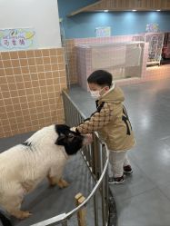 -Moni星球萌宠·小马宝莉·灵蛇·高端高阶全萌宠互动体验俱乐部(红豆国际广场店)
