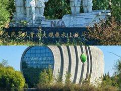 -泗洪洪泽湖湿地景区