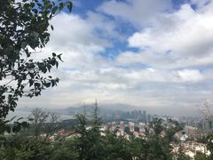 -石老人观光园