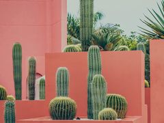 -漳州滨海火山岛自然生态风景区