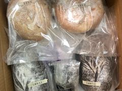 -七叔是岛民(花基新村店)