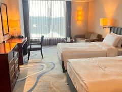 -惠州康帝国际酒店