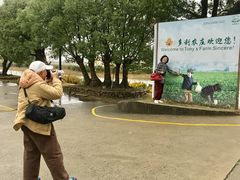 -上海多利农业发展有限公司