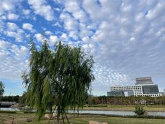 -春花秋色城市公园