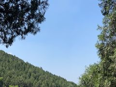 -佛慧山