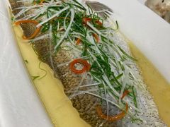 清蒸太湖白鱼-金枝玉叶上海人家食府(三里河店)