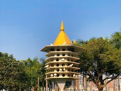 -顺峰山公园