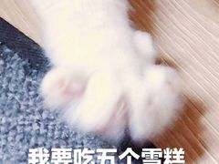 -全家便利店(东直门店)