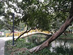 -晓港公园