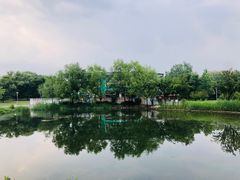 -望湖公园