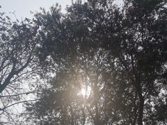 -鹤之洲湿地公园